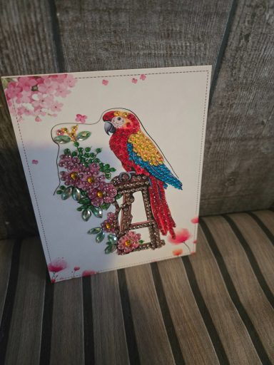 leuke kaart Ara