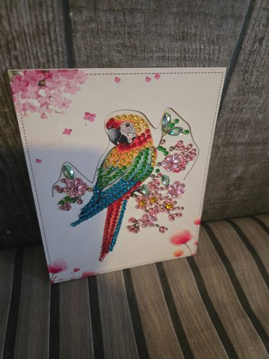 leuke kaart ara