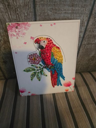 leuke kaart ara