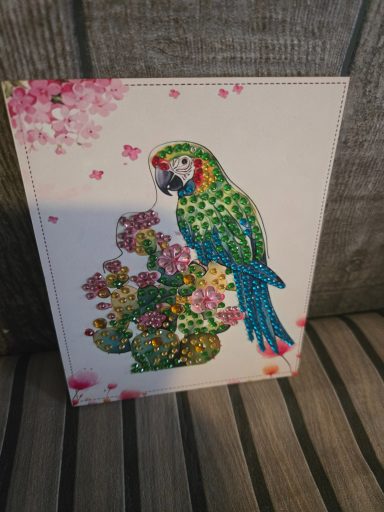leuke kaart ara