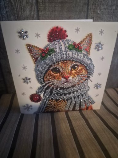 kerstkaart van een kat