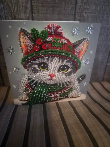 kerstkaart van een kat